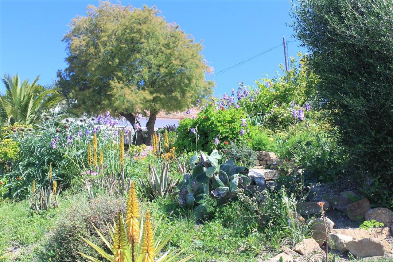 Cerro Brae Villa Villanueva de la Concepción Exterior foto